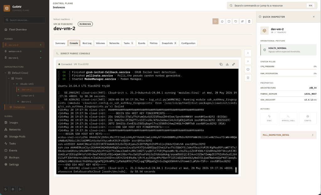 CHV Instance Details